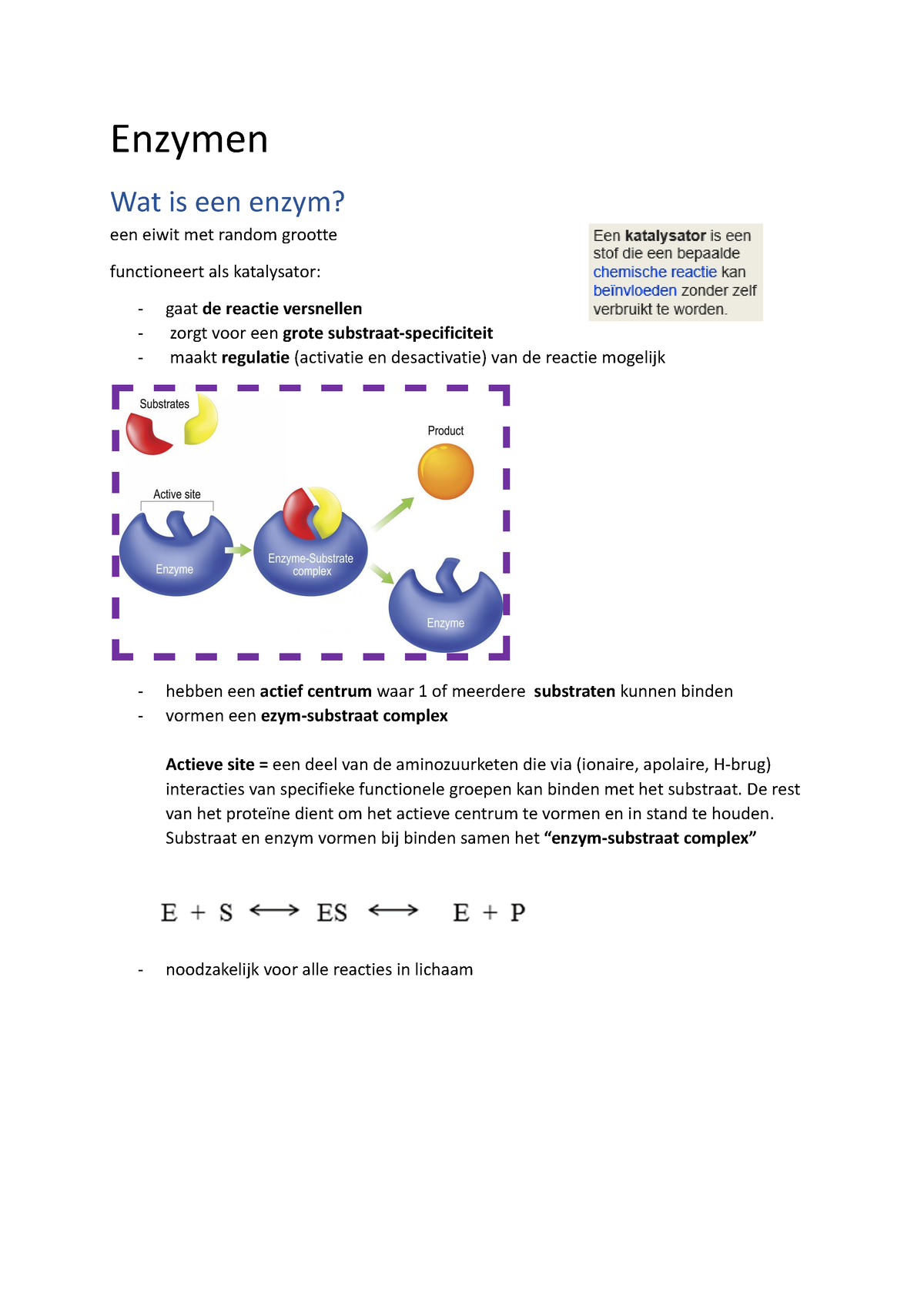 Kopie Van Enzymen, Vitaminen En Lipiden Samenvatting - Enzymen Wat Is ...