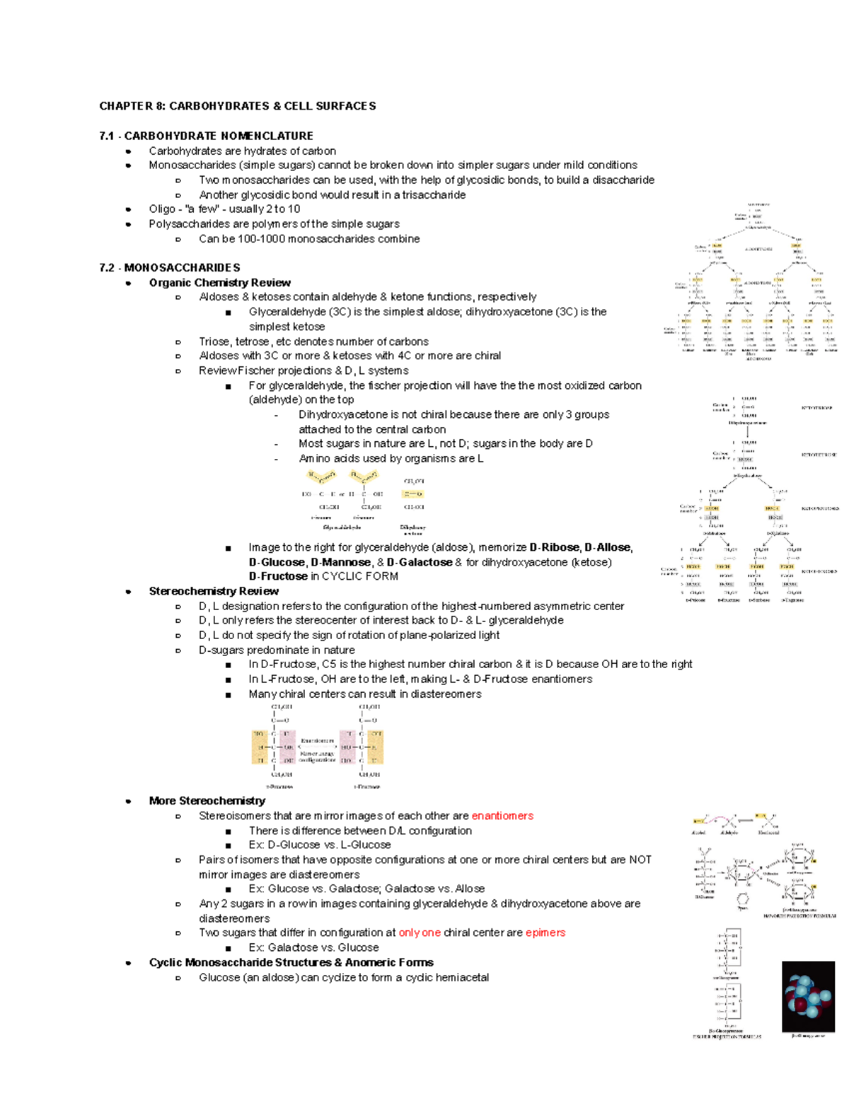 BCH 3033 Chp 7 Notes - CHAPTER 8: CARBOHYDRATES &amp; CELL SURFACES 7 -  CARBOHYDRATE NOMENCLATURE ○ - StuDocu
