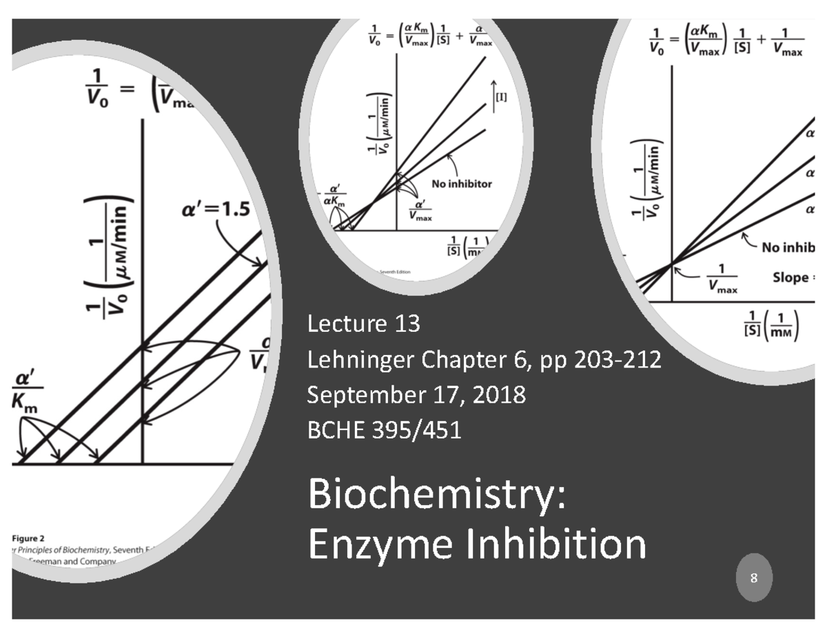 Enzyme II Lecture 13 Lehninger Chapter 6, pp 203212
