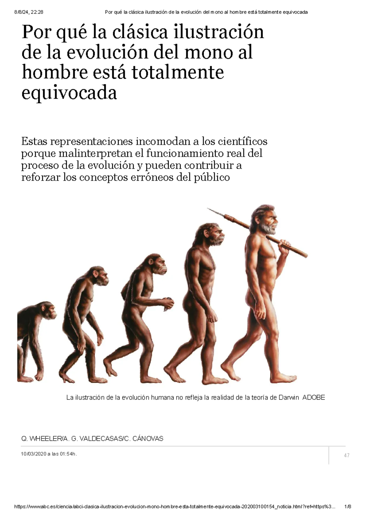 Por qué la clásica ilustración de la evolución del mono al hombre está ...