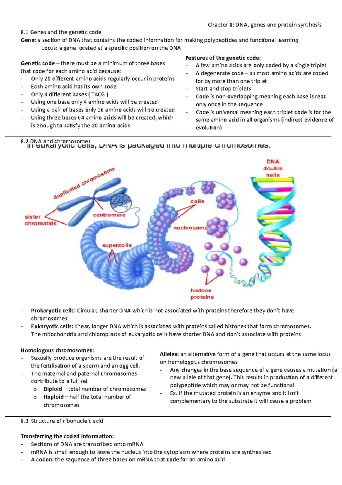 DNA, genes and protein synthesis ALevel Biology notes Chapter 8