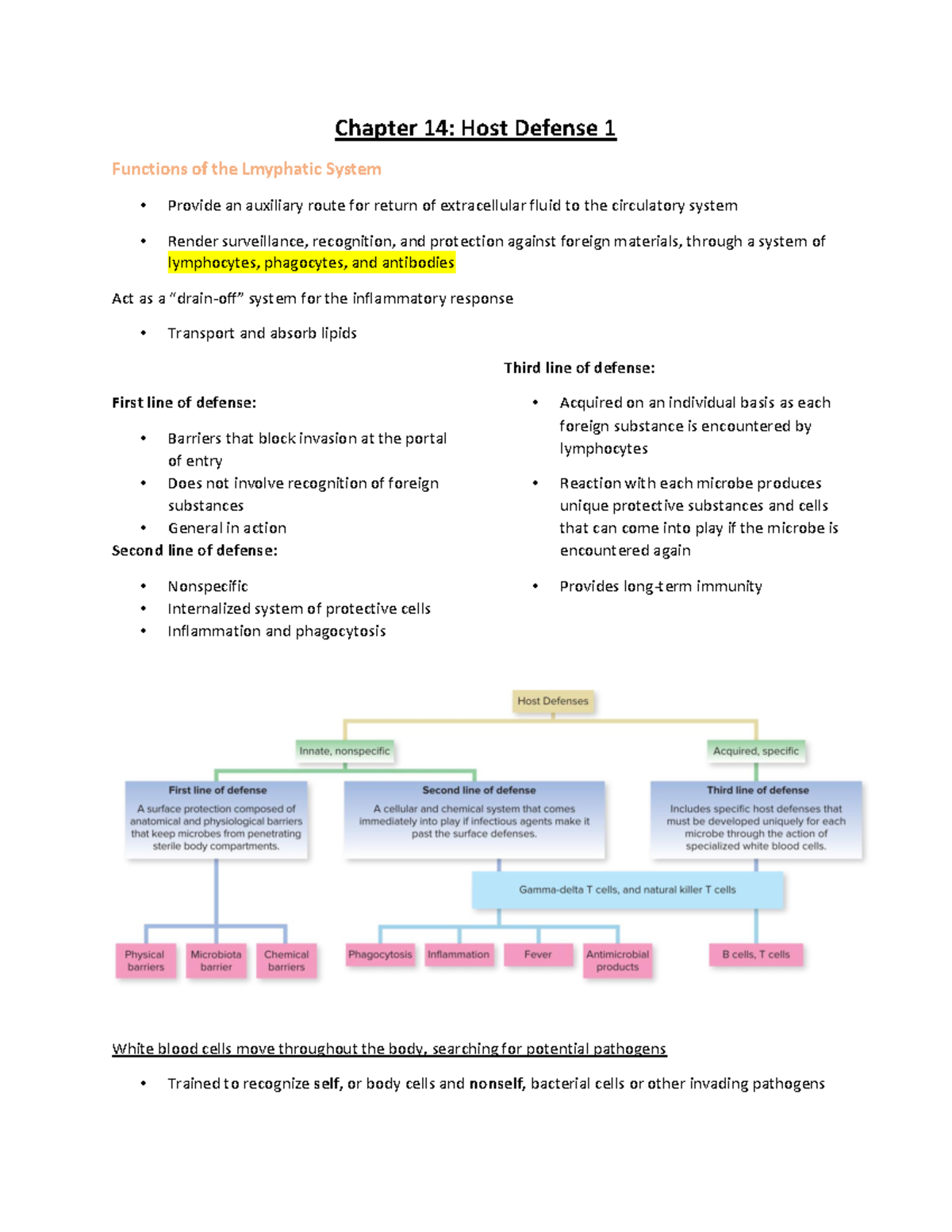 Microbiolgy Exam 4 Notes - MCB2010L - Studocu