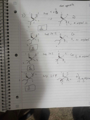 Diels Alder - Take home Assignment - CH 430 - Studocu