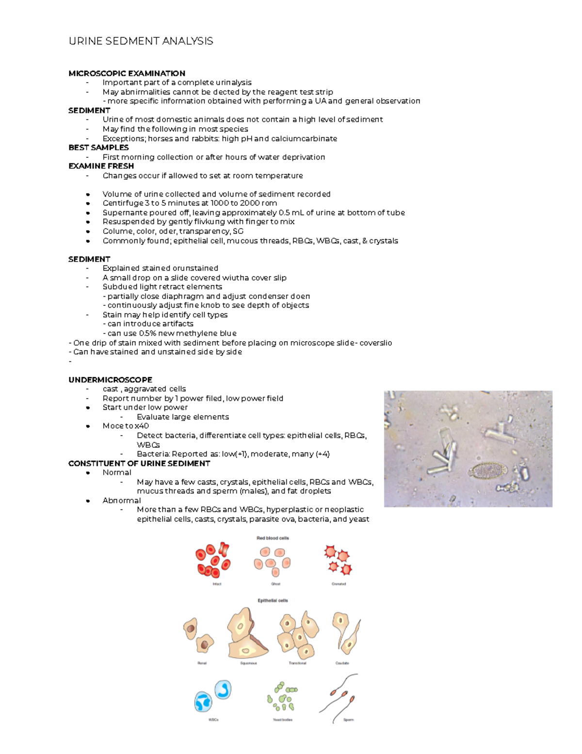 Urine Crystals MICROSCOPIC EXAMINATION Important part of a complete