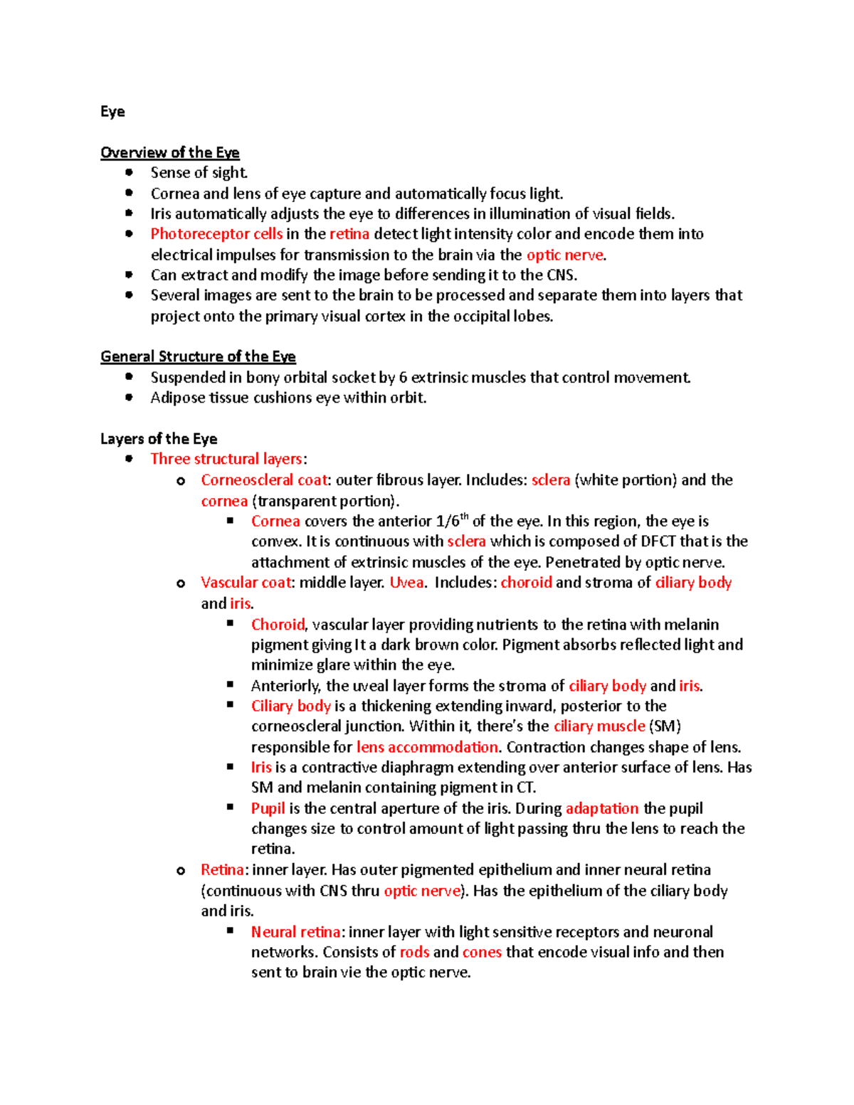 Eye - summeries to help with neurohistology - Eye Overview of the Eye ...