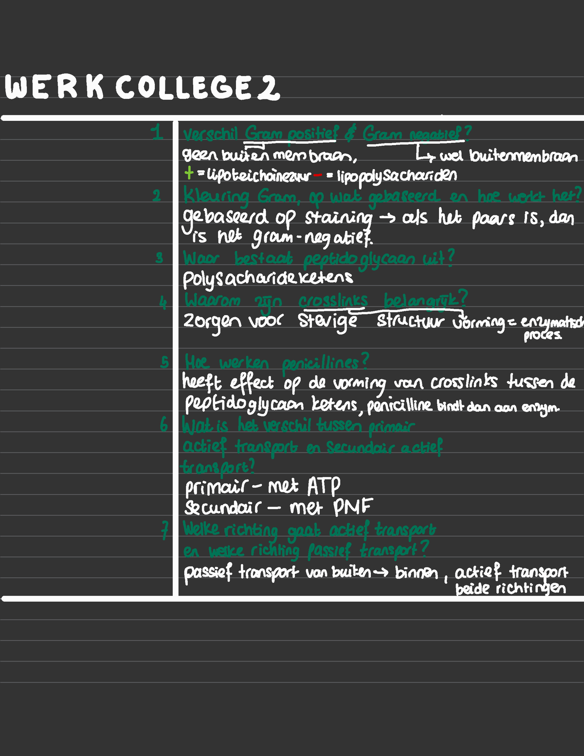 Werkcollege 2 - Q&A Oefenvragen - WE R K COLLEGE 2 1 1 Verschil G¥Ëf ...