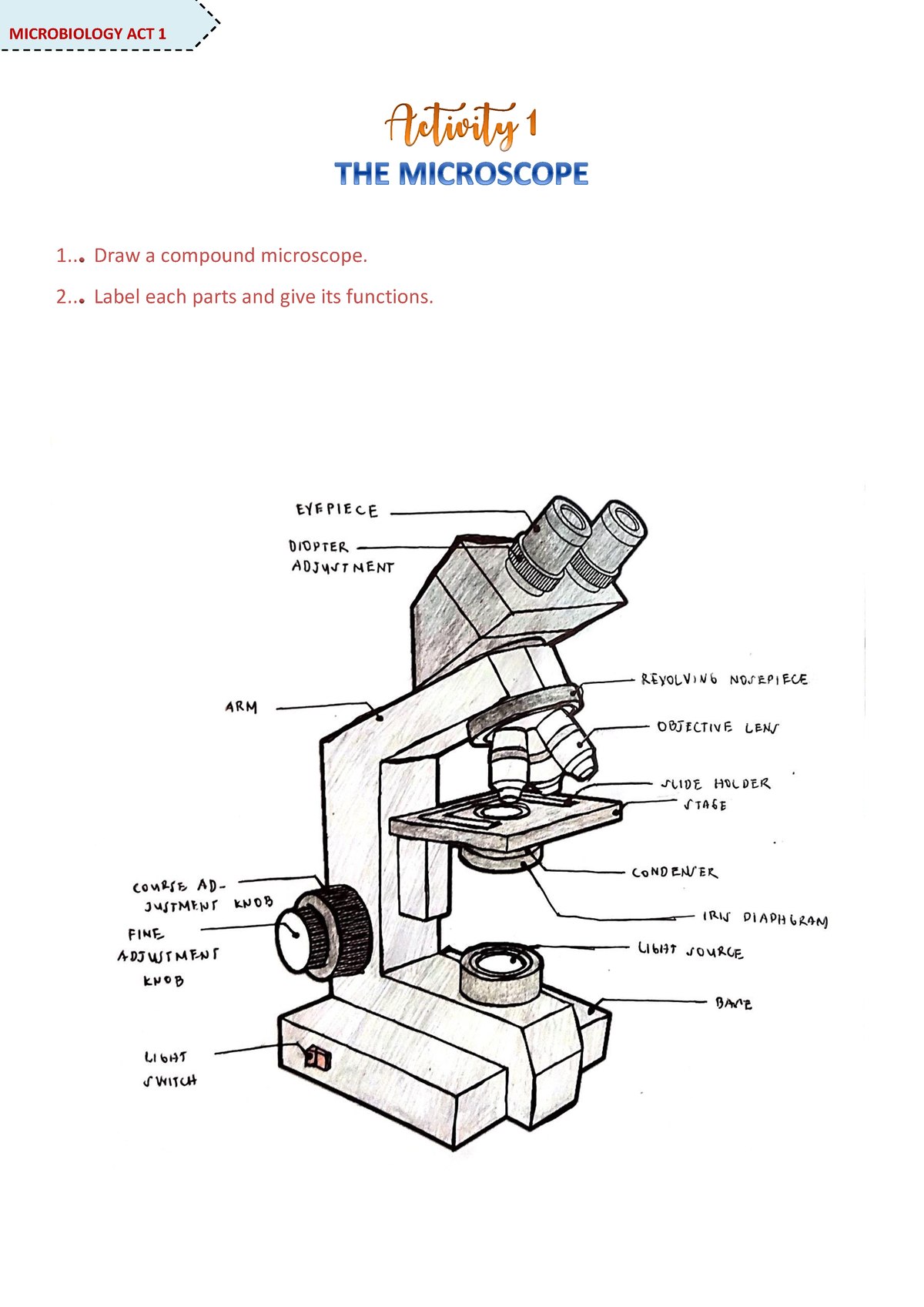 Compound microscope drawing | Clipart Panda - Free Clipart Images