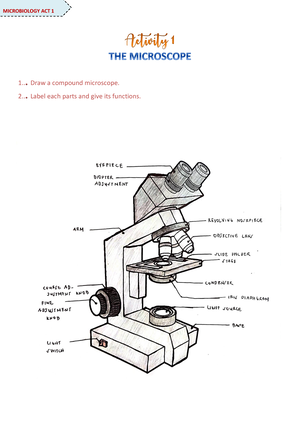 microscope vector sketch 7312859 Vector Art at Vecteezy