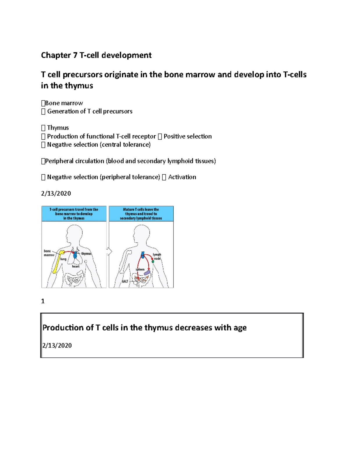 Immuno Chapter 7 - Lecture notes 7 - Chapter 7 T-cell development T ...