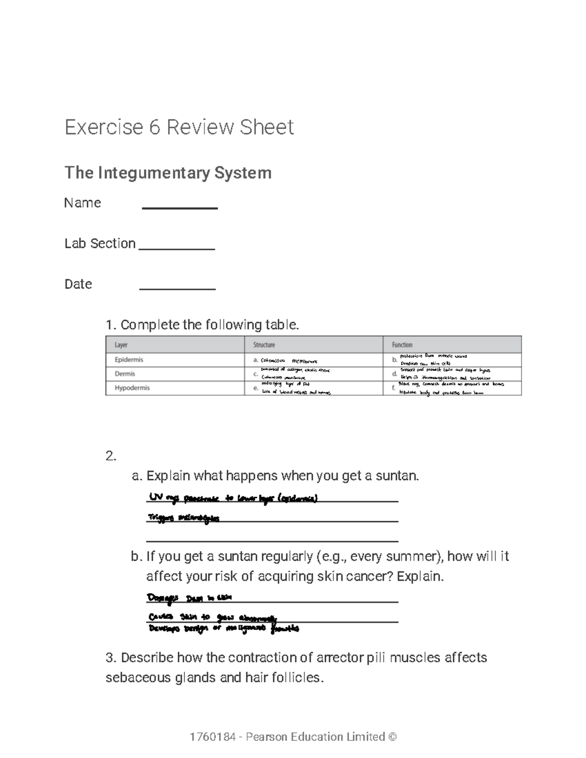 Lab Ass Lab Assignment Completed Exercise Review Sheet The