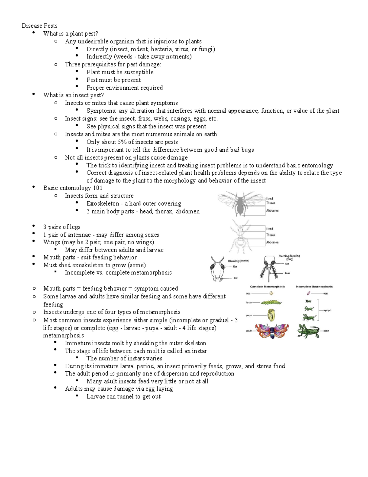 Unit 2 Notes - Disease Pests What Is A Plant Pest? O Any Undesirable ...