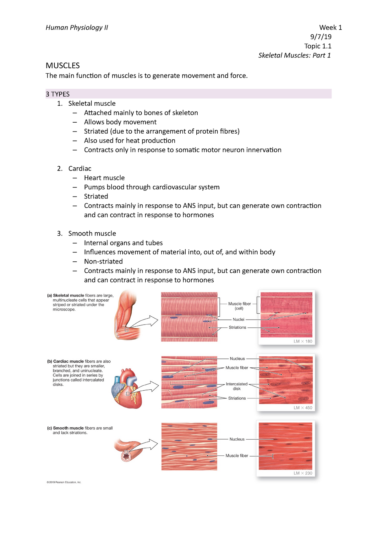 Topic 1 - Human Physiology 2 Lecture Notes. Got a HD - 9/7/ Topic 1 ...