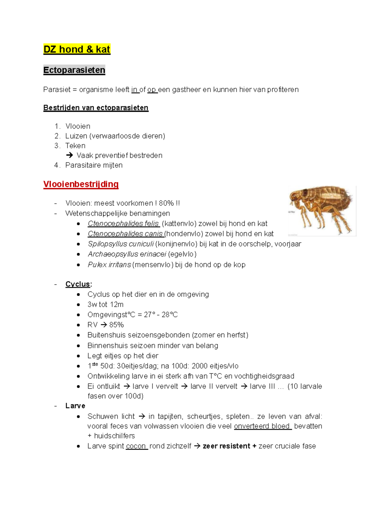 Ectoparasieten & Endoparasieten - DZ Hond & Kat Ectoparasieten Parasiet ...