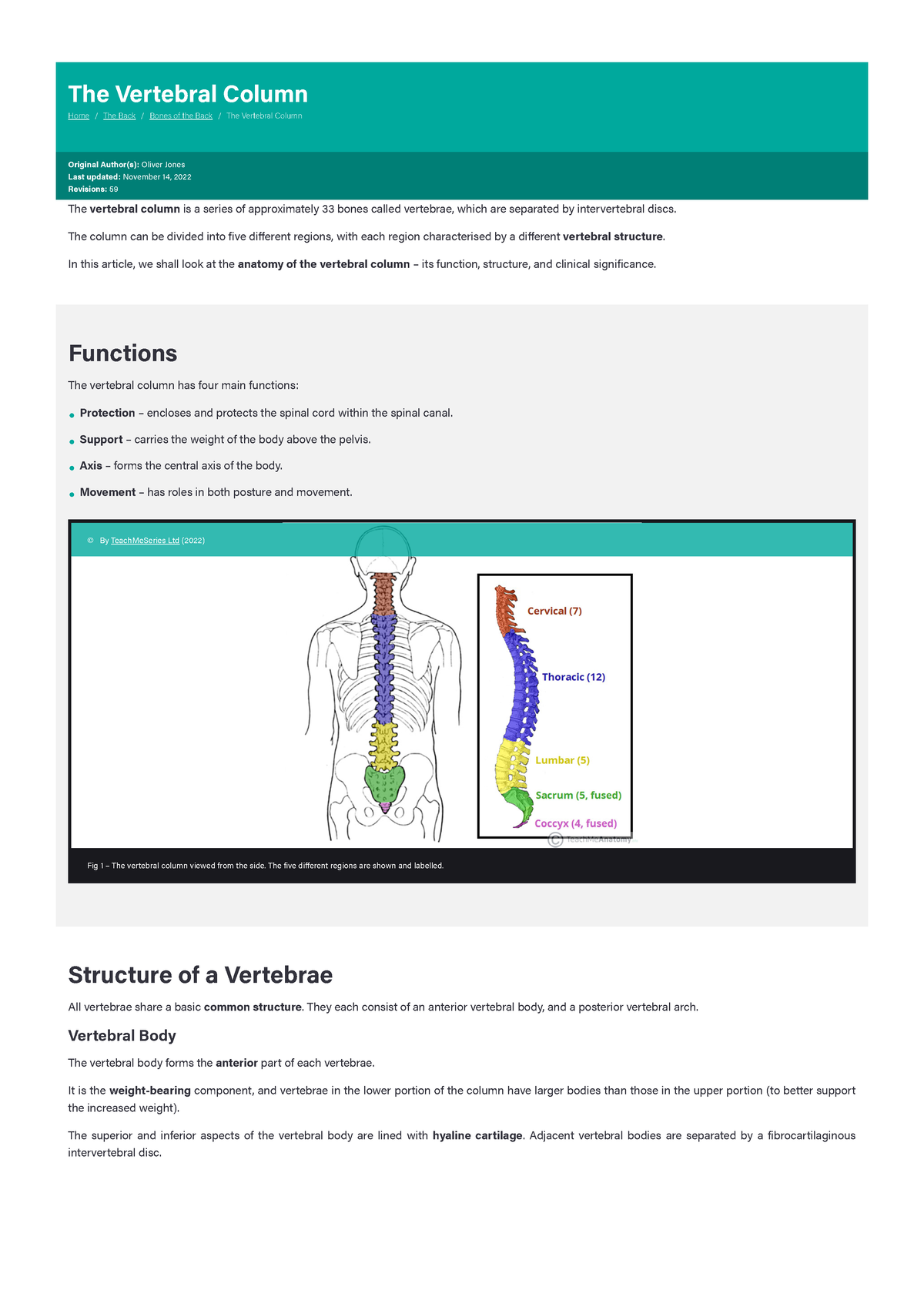 The Vertebral Column - Joints - Vertebrae - Vertebral Structure 2 - The  Vertebral Column Home / The - Studocu