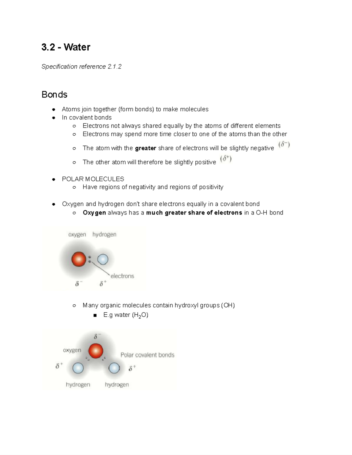 3-2-biology-notes-google-docs-3-water-specification-reference-2