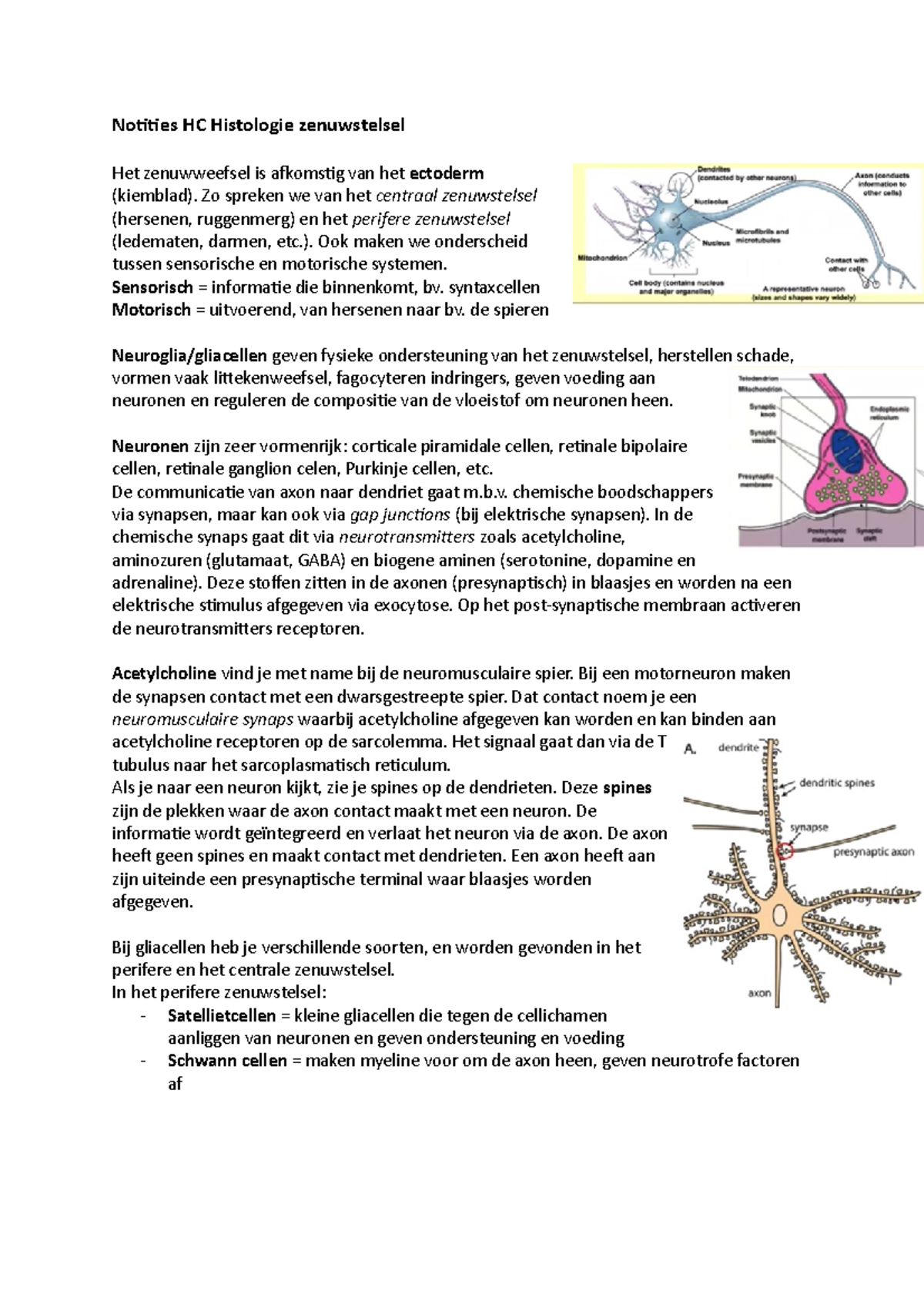 Notities HC Histologie Zenuwstelsel - Zo Spreken We Van Het Centraal ...