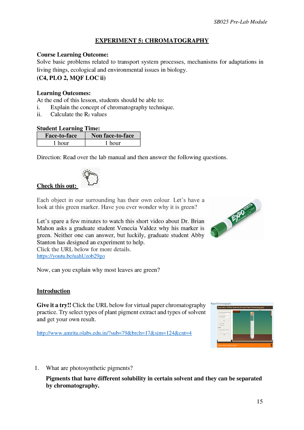 chromatography experiment lab report matriculation