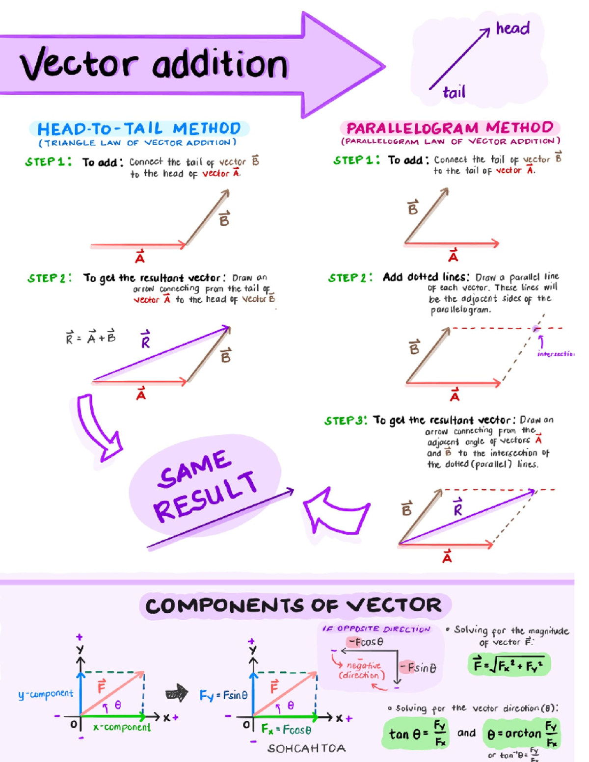 Components of vector - Environmental Science - Studocu