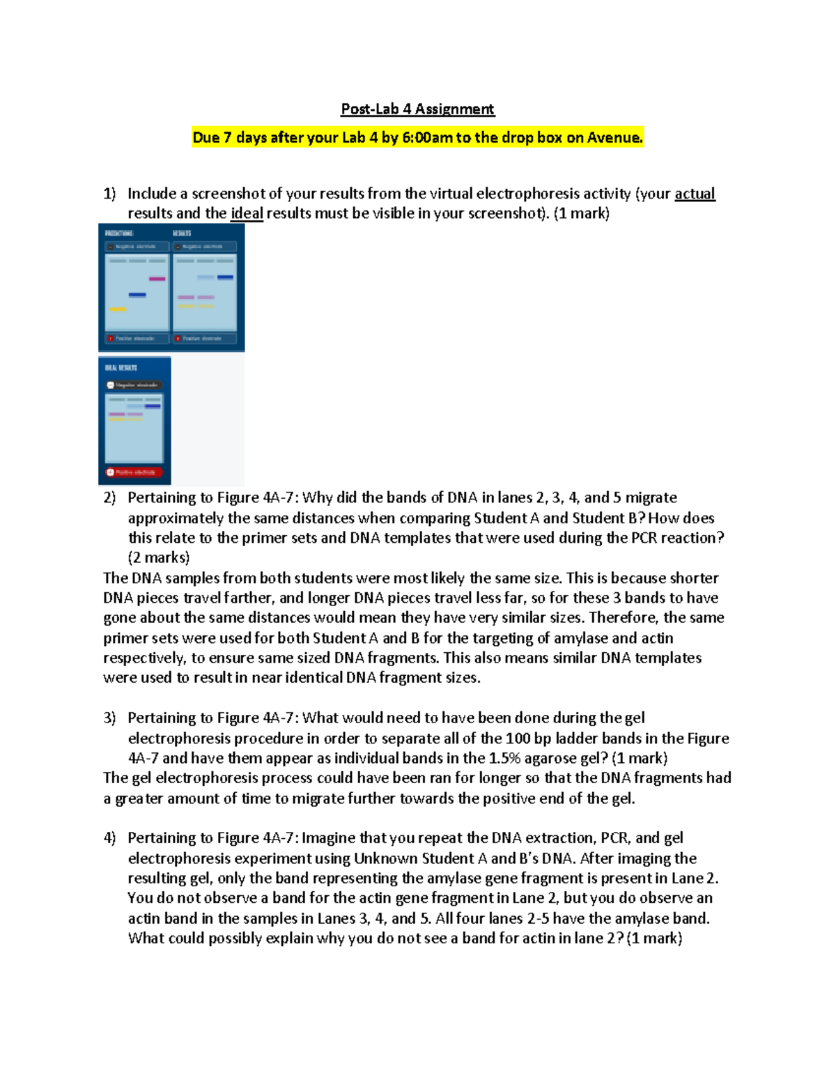 Post-Lab 4 Assignment W2023 - Post-Lab 4 Assignment Due 7 days after ...