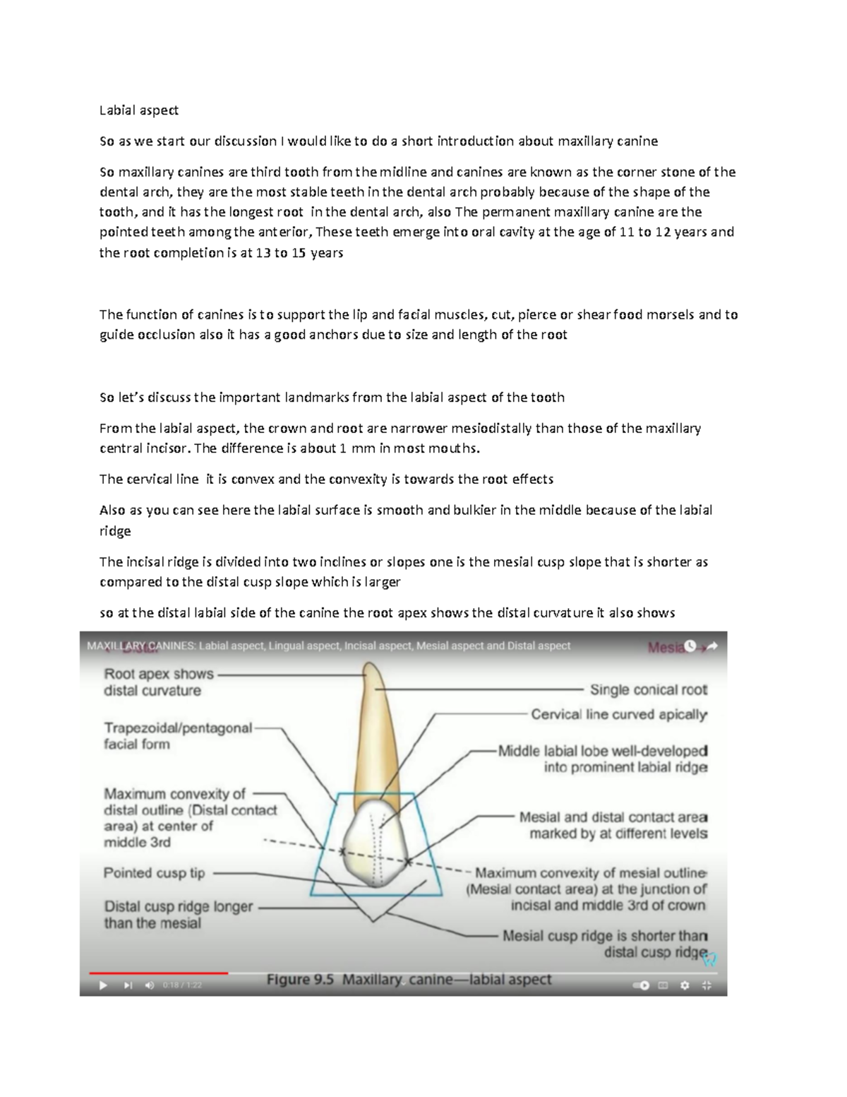 Labial aspect none Labial aspect So as we start our discussion I