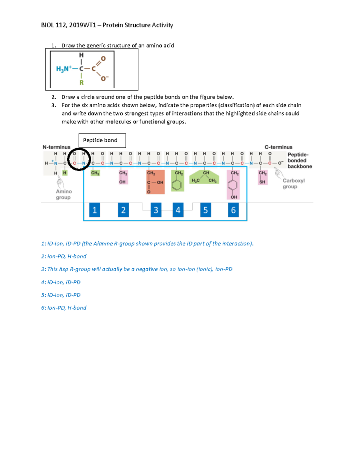 5-Protein Structure Activity - Answer Key-1 - BIOL 112, 2019WT1 ...