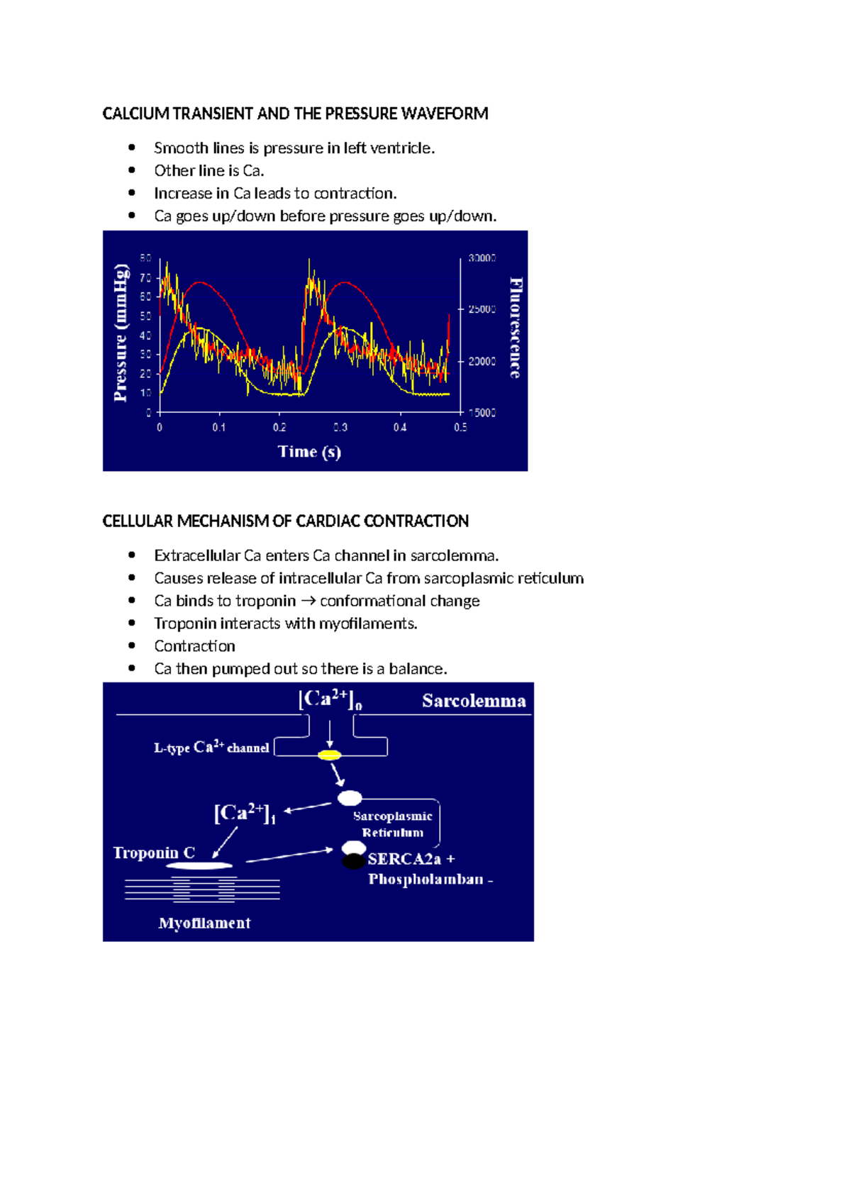 L04 Ageing and heart failure - CALCIUM TRANSIENT AND THE PRESSURE ...