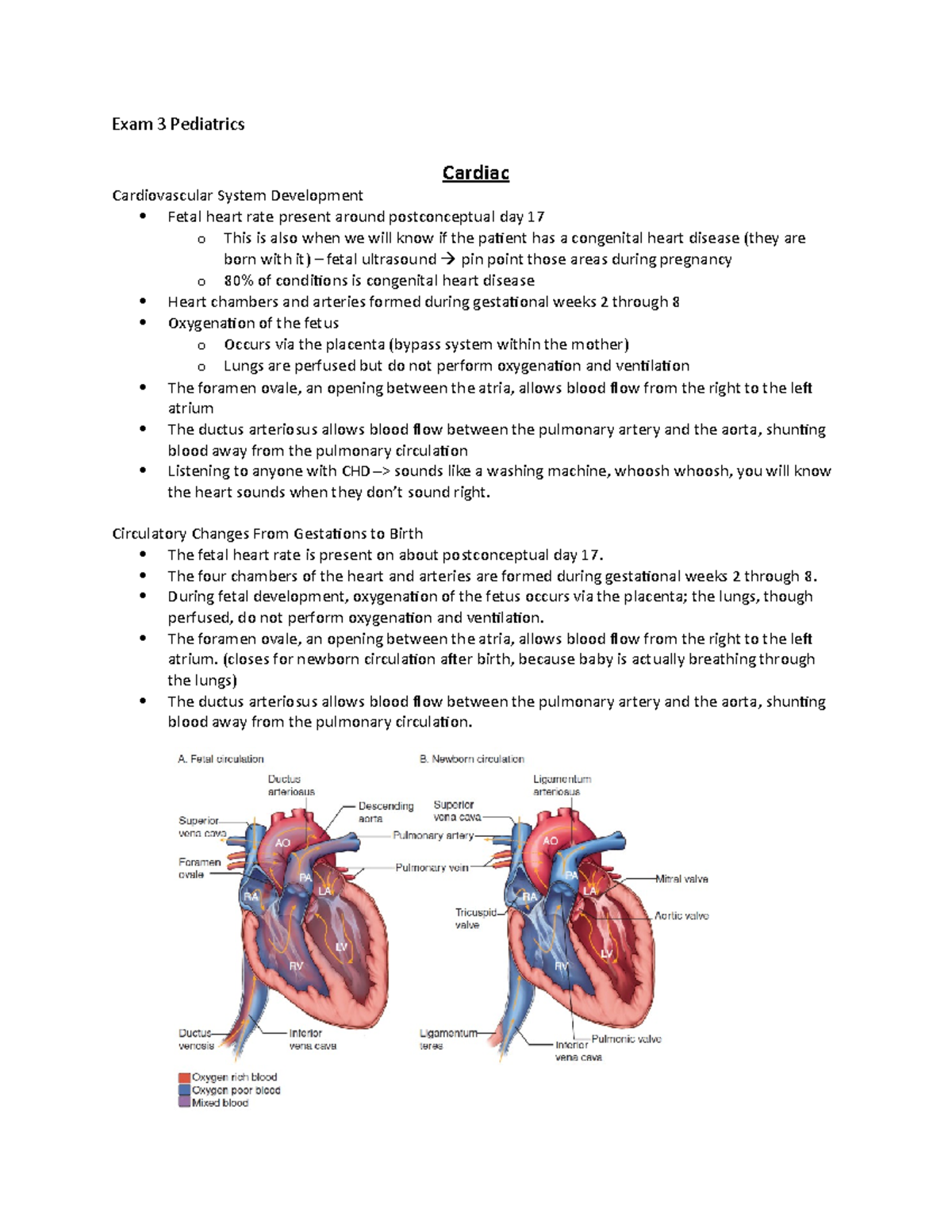 Cardiac Disorders in Children - Exam 3 Pediatrics Cardiac ...