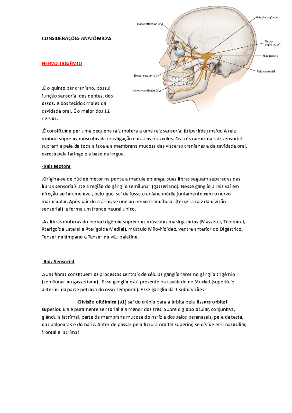 Considerações Anatômicas NERVO o quinto par craniano, possui