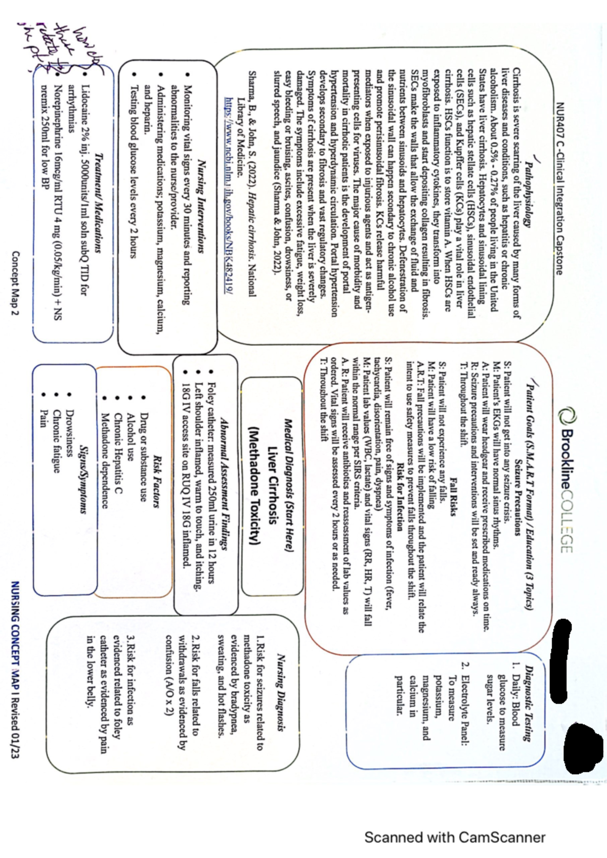 Concept Map 2 - NUR 407 C - Studocu