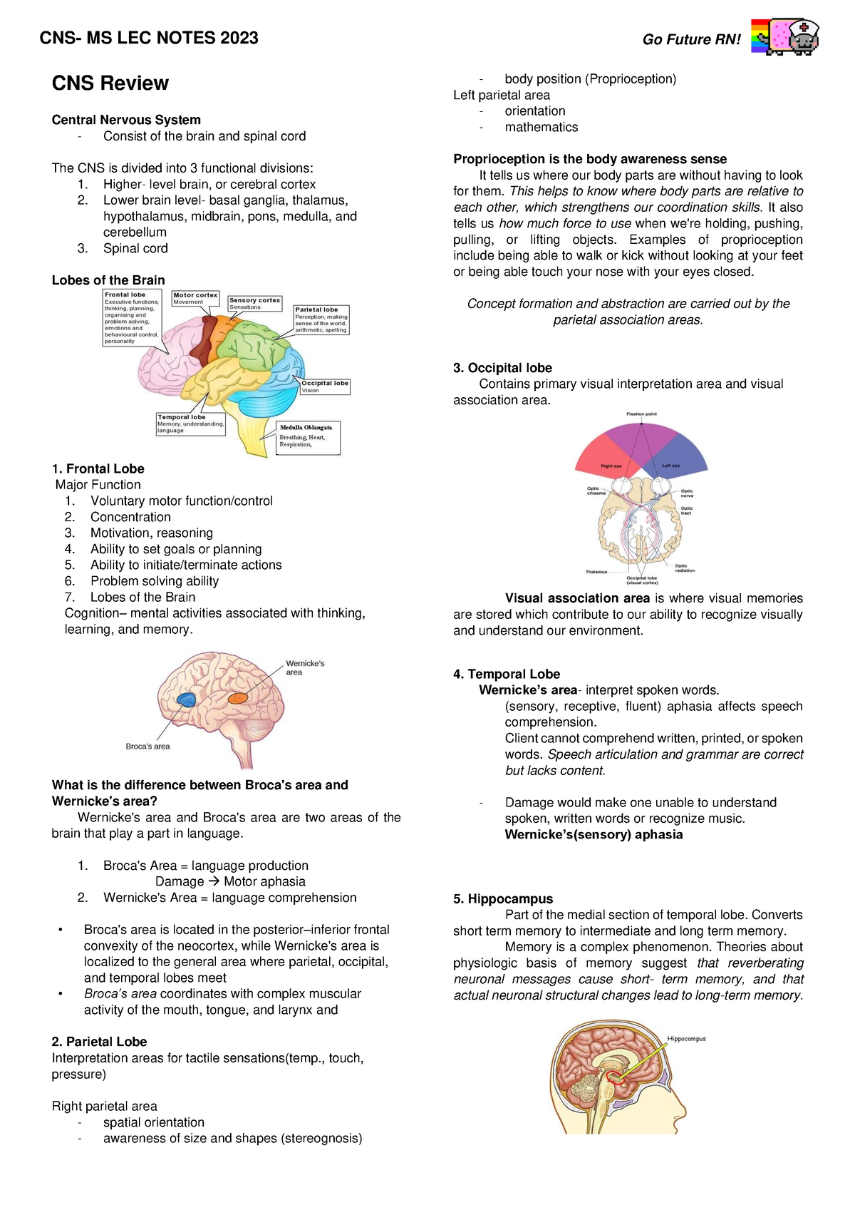 CNS Notes - AnaPhy review of CNS and some major and minor CNS ...