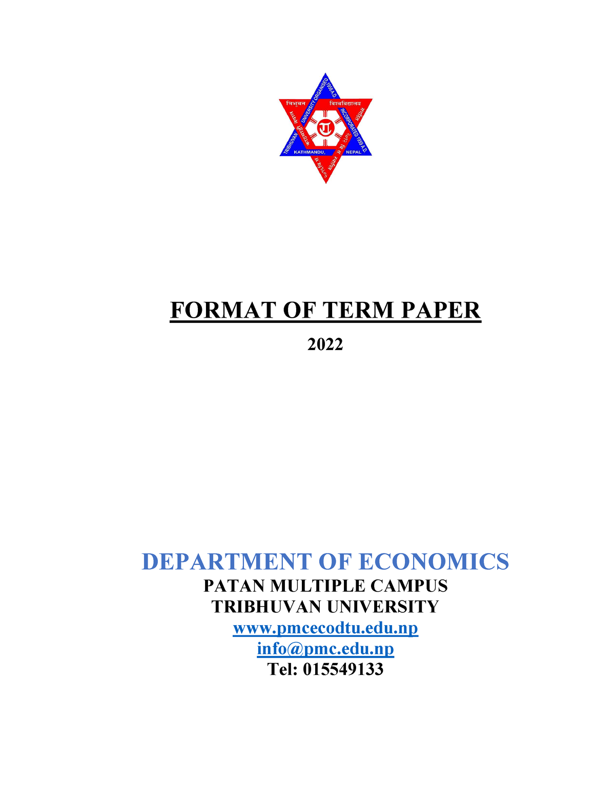 economics term paper format