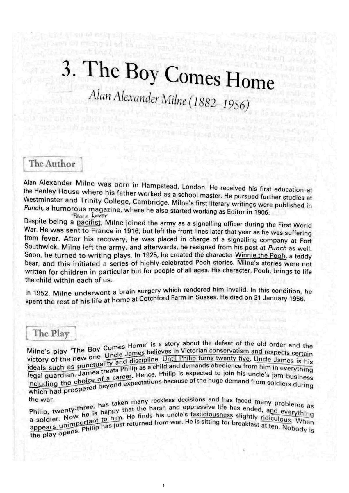 the boy comes home essay