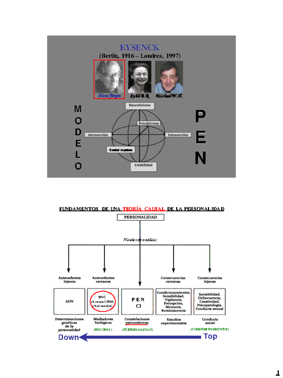 Esquema/Model PEN pdf - Psicologia De La Personalitat - UB - Studocu
