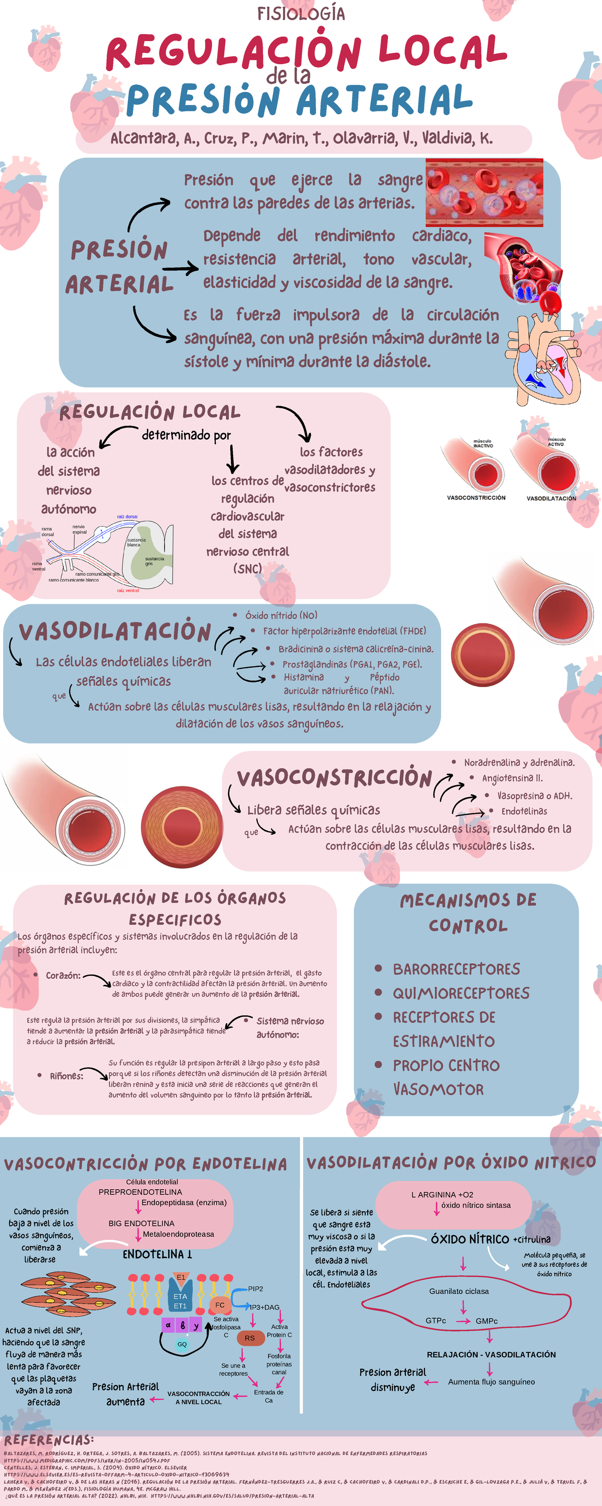 B-Regulación local de la presión arterial - de la FISIOLOGÍA presión ...