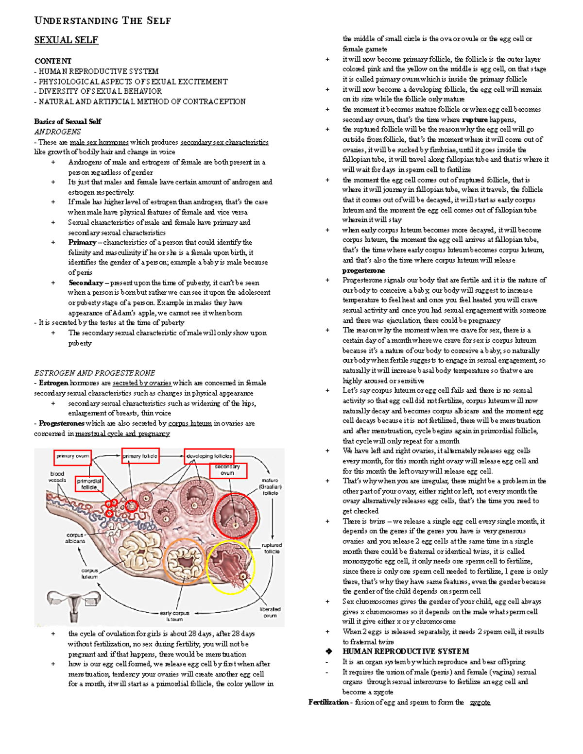 Understanding the self 111 midterms - SEXUAL SELF CONTENT - HUMAN ...