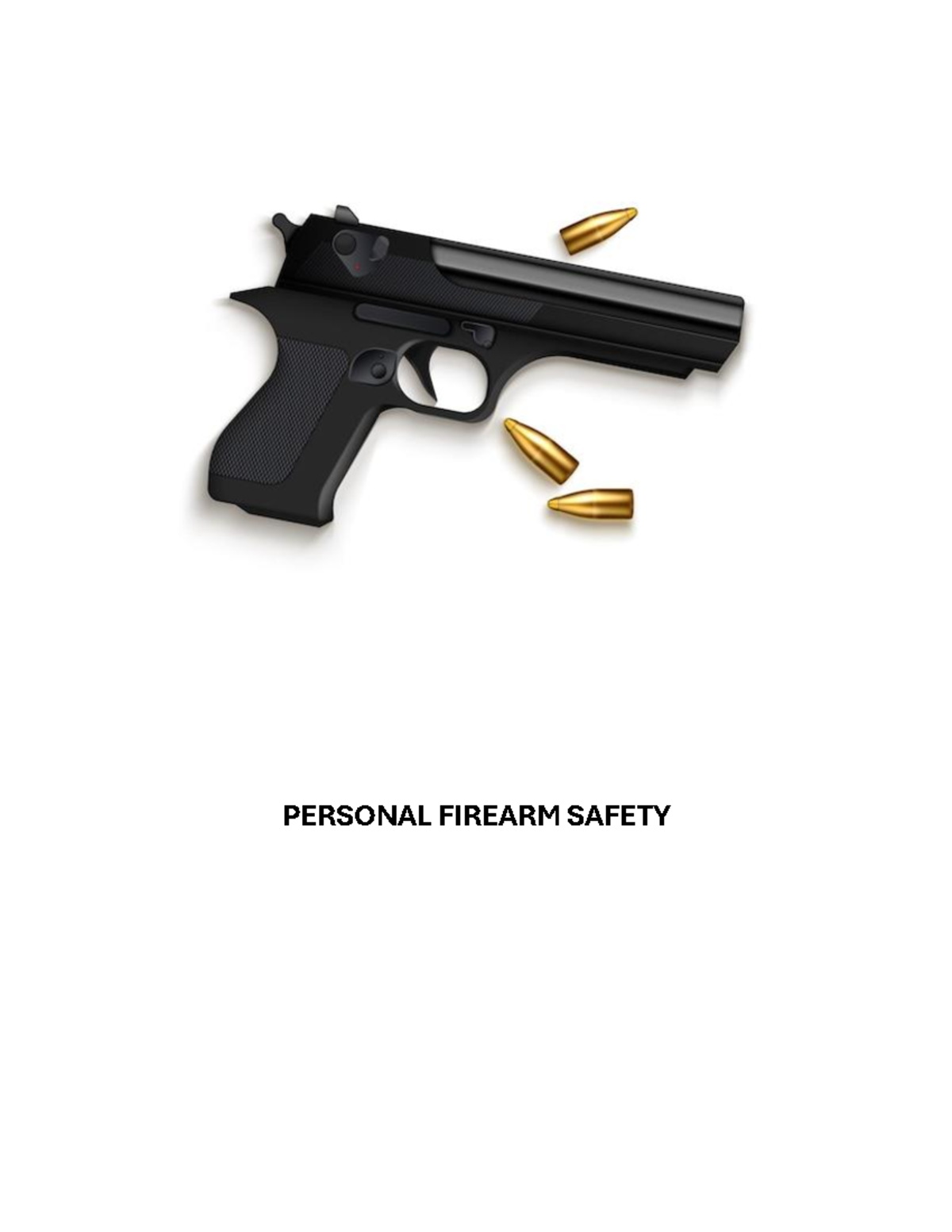 Project Report Summary Criminology PERSONAL FIREARM SAFETY