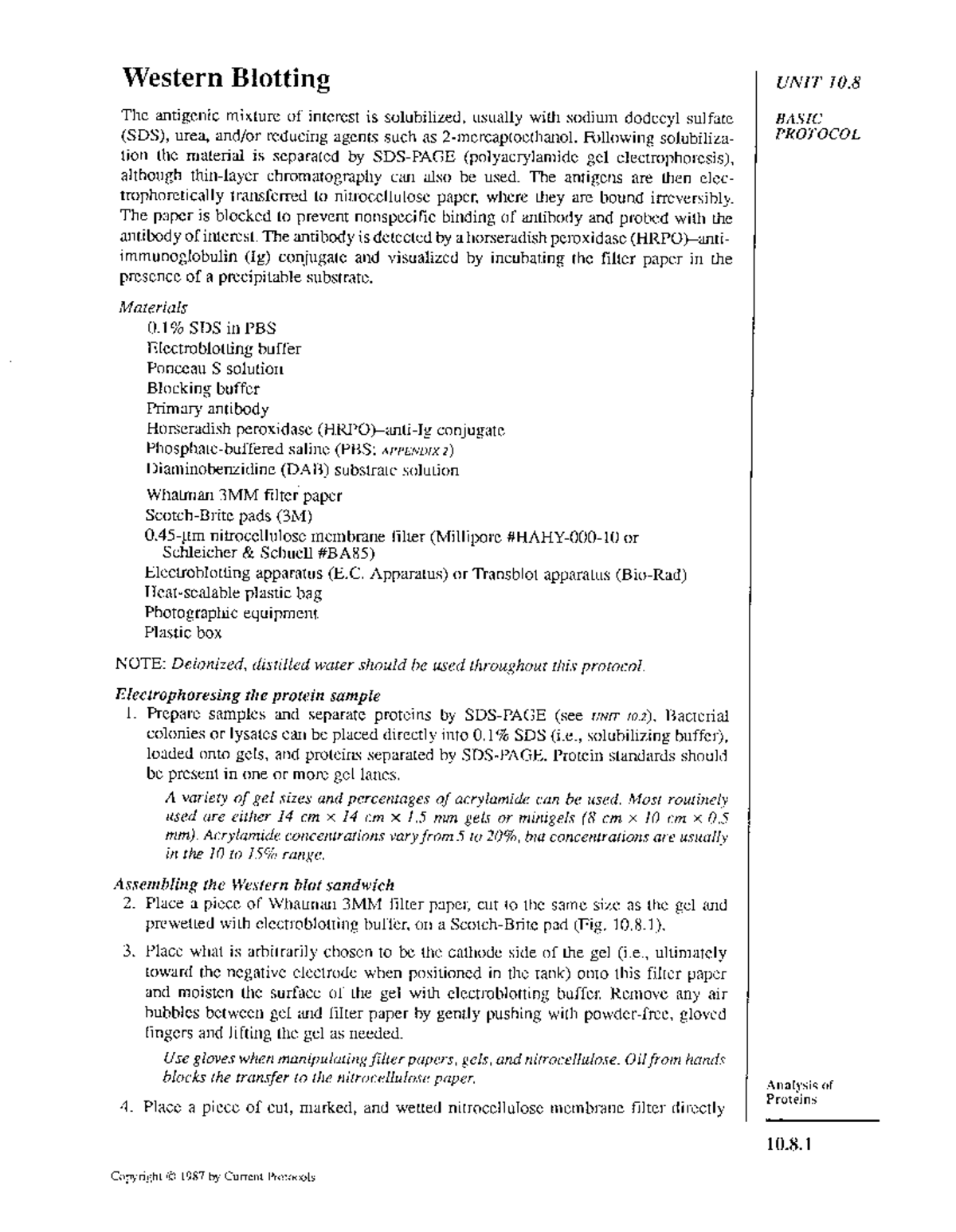 Western Blotting - Microbiology - Studocu