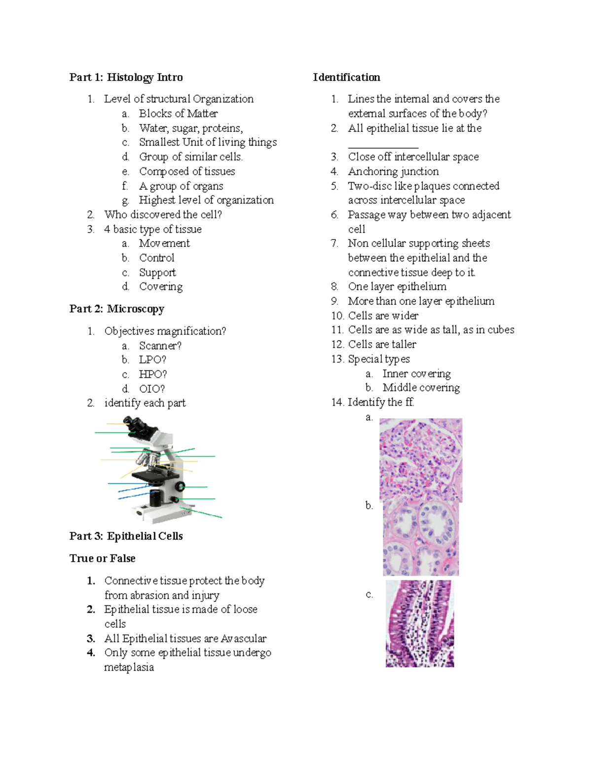 Histology Mock Quiz Part 1 Histology Intro Level Of Structural