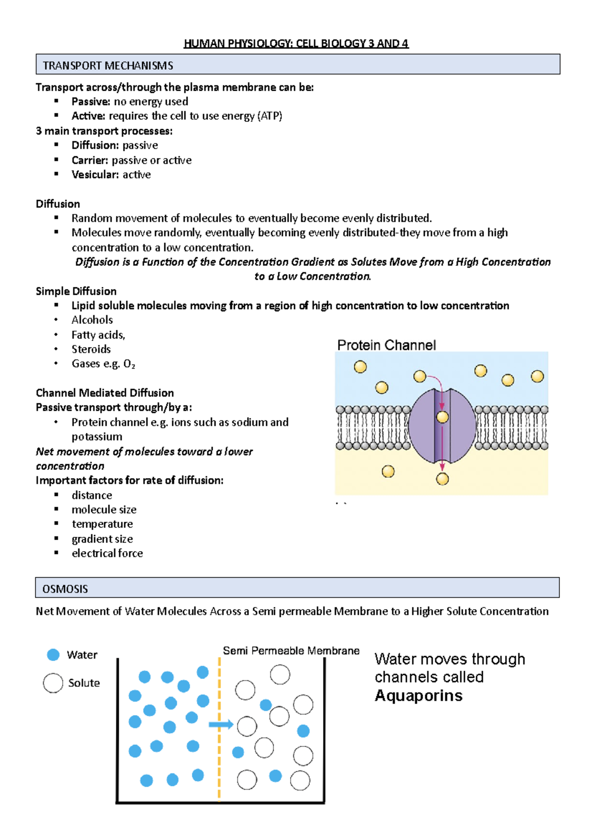 CB 3 and 4 notes - HUMAN PHYSIOLOGY: CELL BIOLOGY 3 AND 4 Transport ...