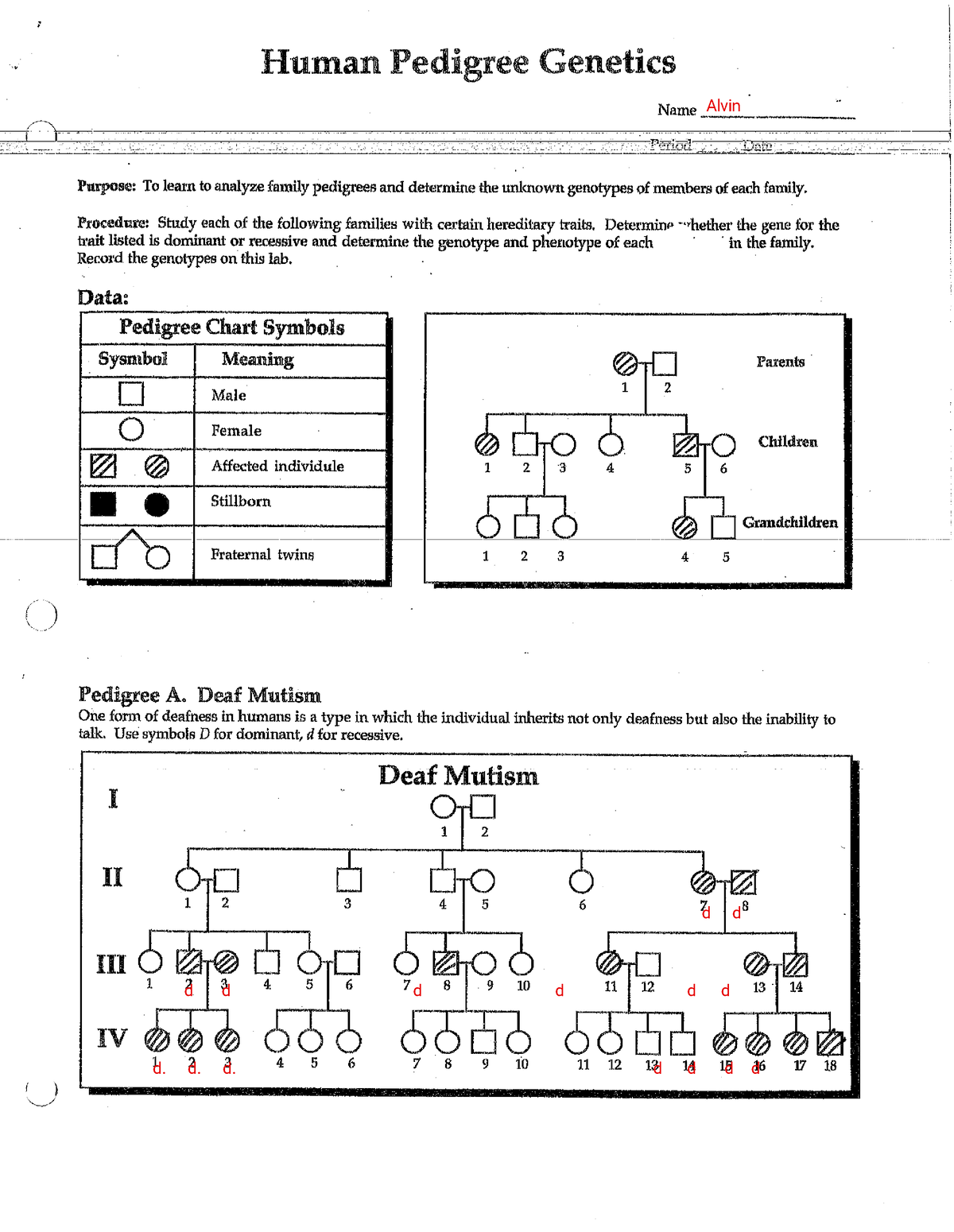 kami-export-human-pedigree-human-pedigree-genetics-name-purpose-to