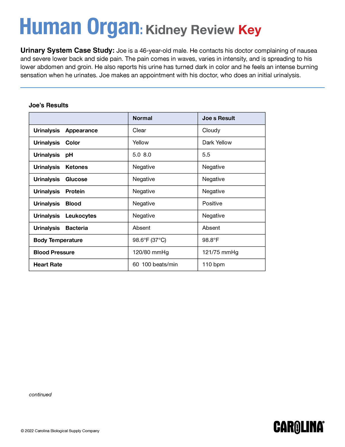 Kidney-key - Medical Surgical Nursing - Human Organ: Kidney Review Key ...