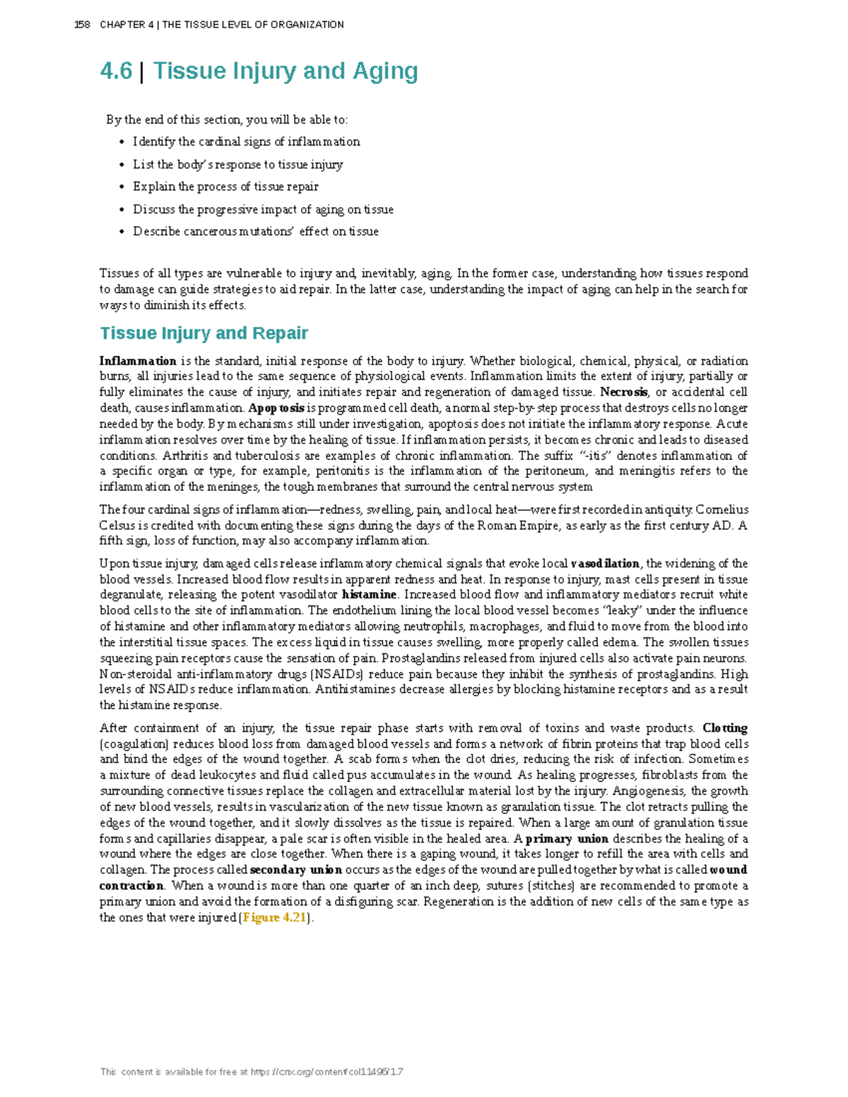 Anatomy-physiology-56 - 4 | Tissue Injury and Aging By the end of this ...