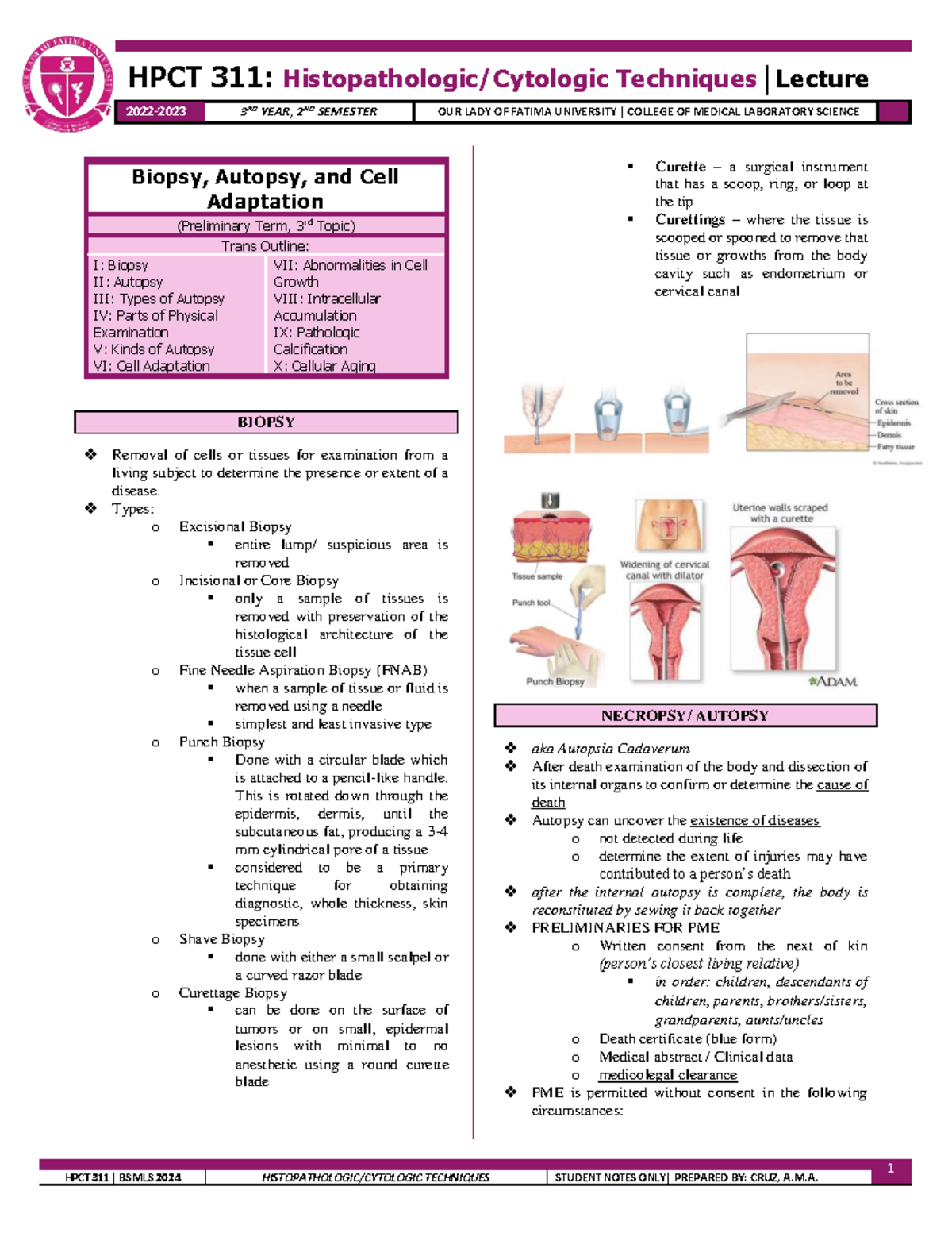 3 HPCT LEC - Histopathology - 1 HPCT 311: Histopathologic/Cytologic ...