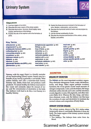 Chapter 27 Human Development and Heredit - Anatomy and Physiology - Studocu