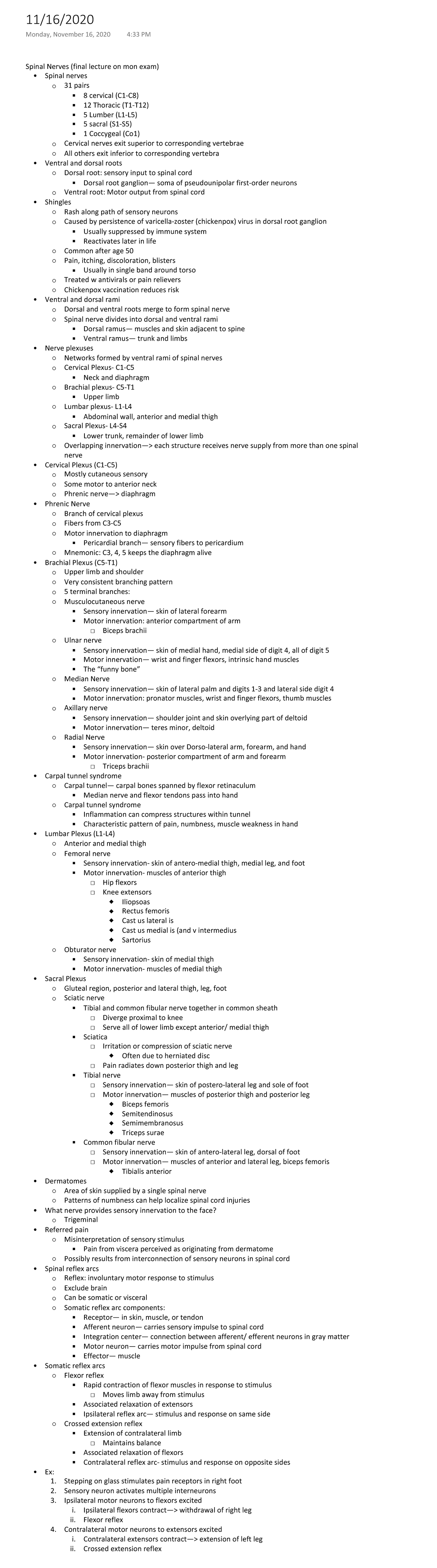 a-p-spinal-nerves-spinal-nerves-final-lecture-on-mon-exam-spinal