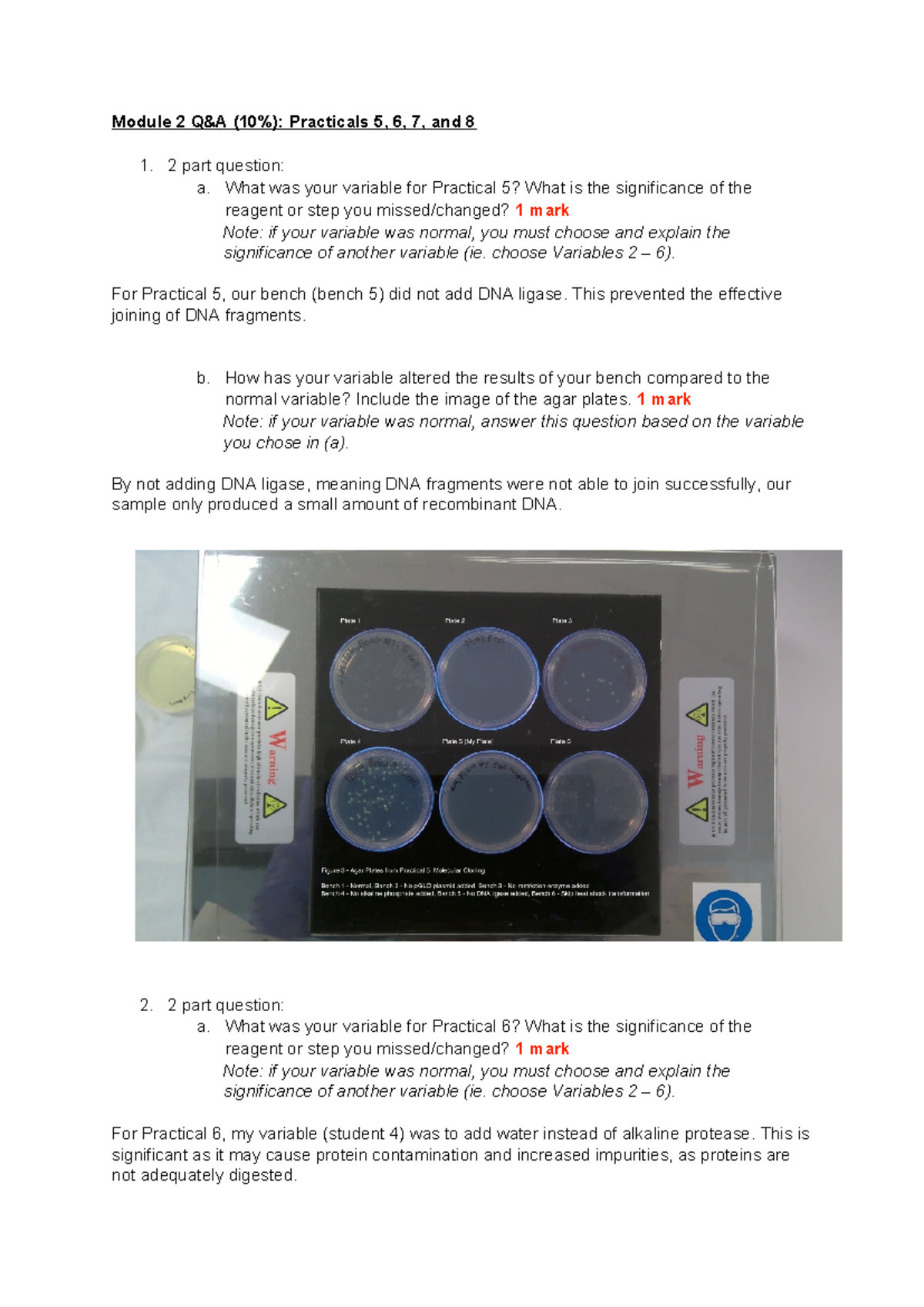 Module 2 Questions - Module 2 Q&A (10%): Practicals 5, 6, 7, and 8 1. 2 ...
