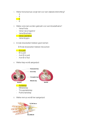 Anatomie van de larynx - TAF: stem INLEIDING: HOE KOMT SPRAAK TOT STAND ...