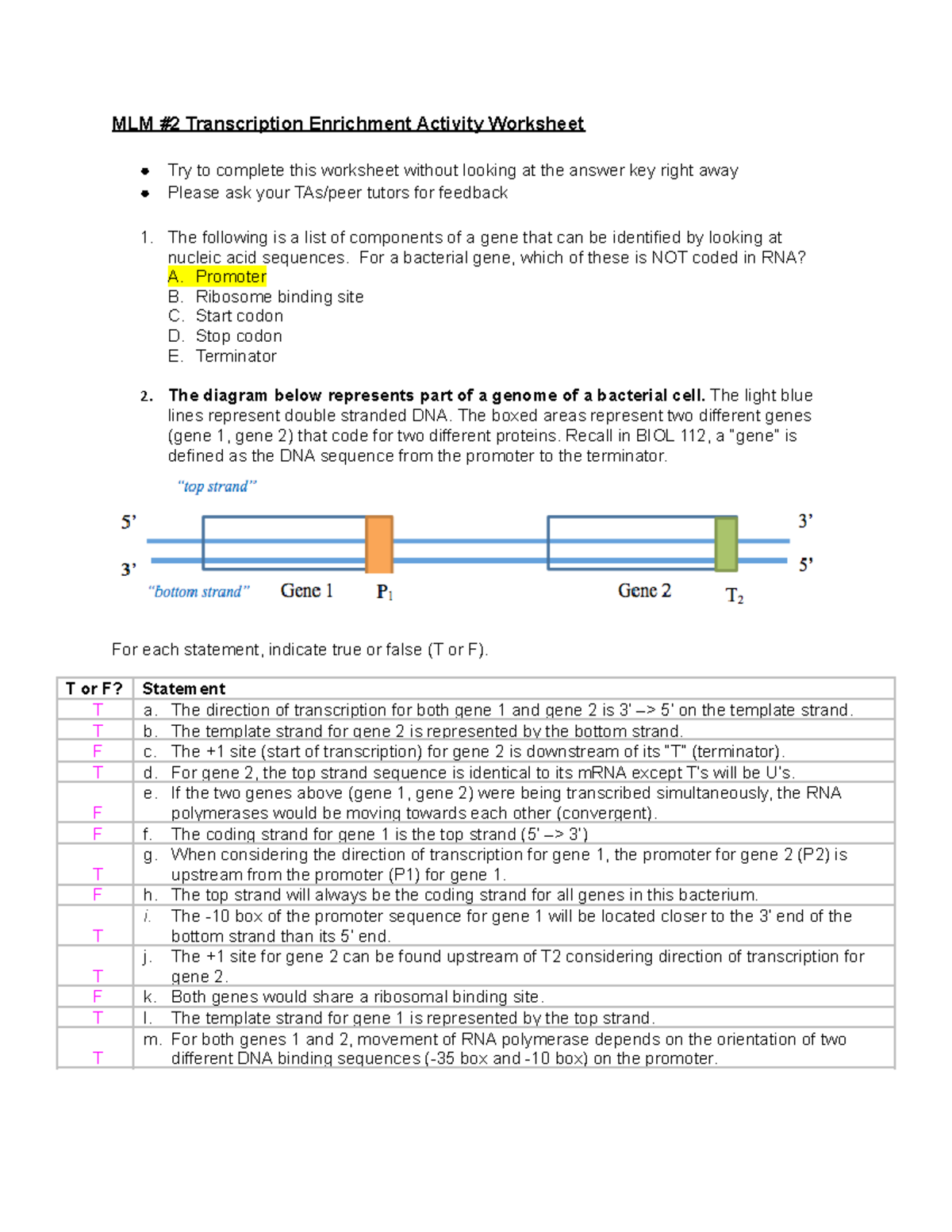 MLM2 Enrichment Activity Answer Key - MLM #2 Transcription Enrichment Activity Worksheet Try to ...