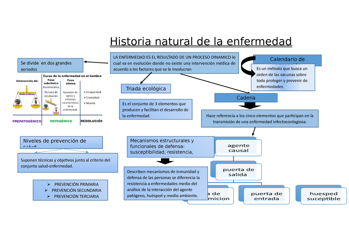 Resumen Tema 2 Historia Y Fundamentos Esquemas Y Mapa