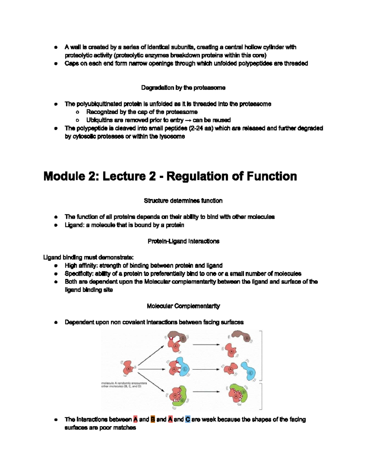 Module 2 Lecture 2 - Biology 2B03 - Studocu